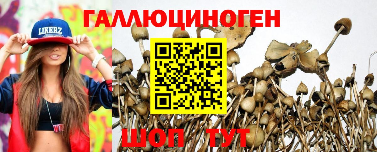 Сальск  Галлюциногенные грибы Magic Shrooms  Вход с VPN 